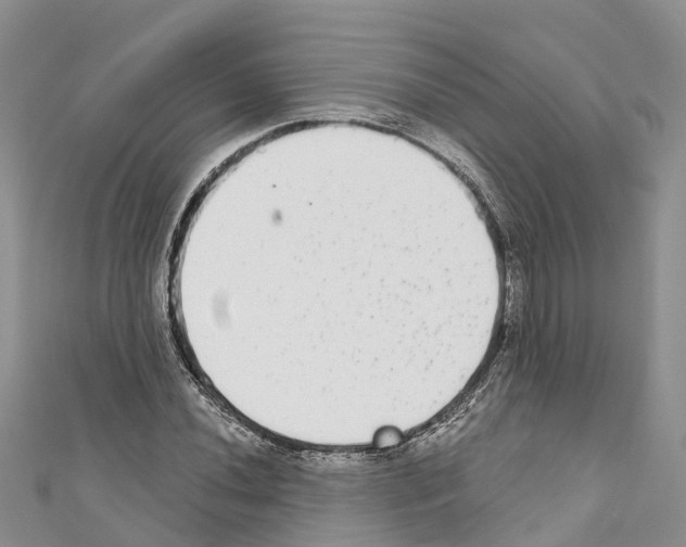 X0000110721020200907241202