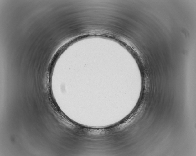 X0000110721021200907241202