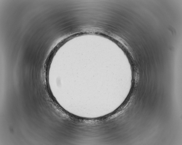 X0000110721022200907241202