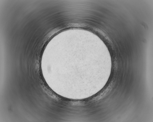 X0000110721025200907241202