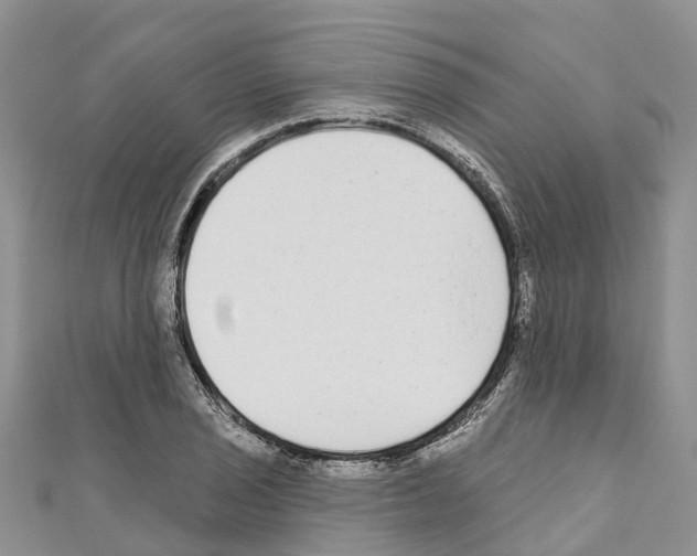 X0000110721029200907241202