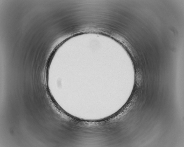 X0000110721030200907241202