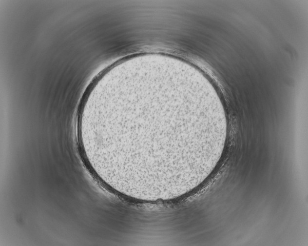 X0000110721032200907241202