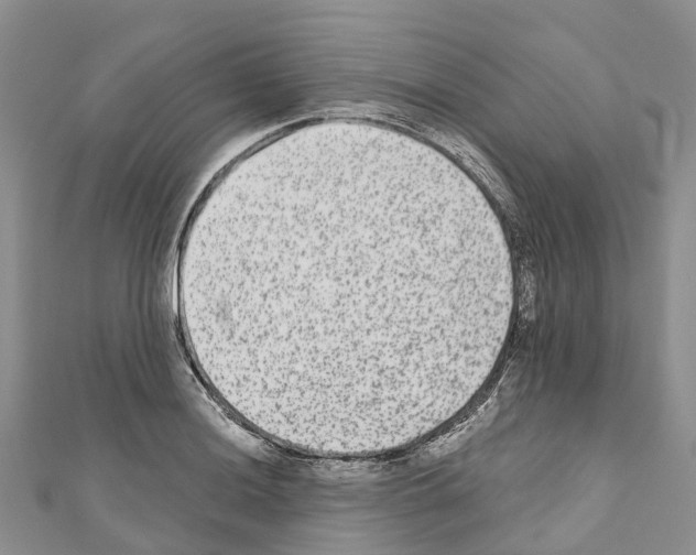 X0000110721036200907241202