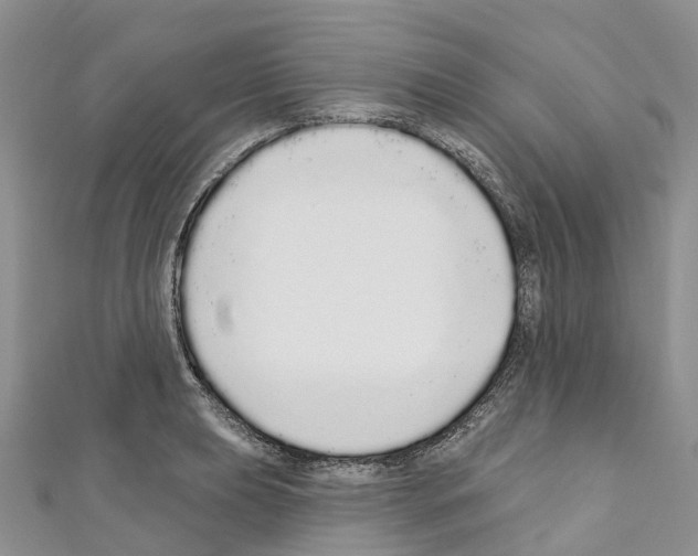 X0000110721039200907241202