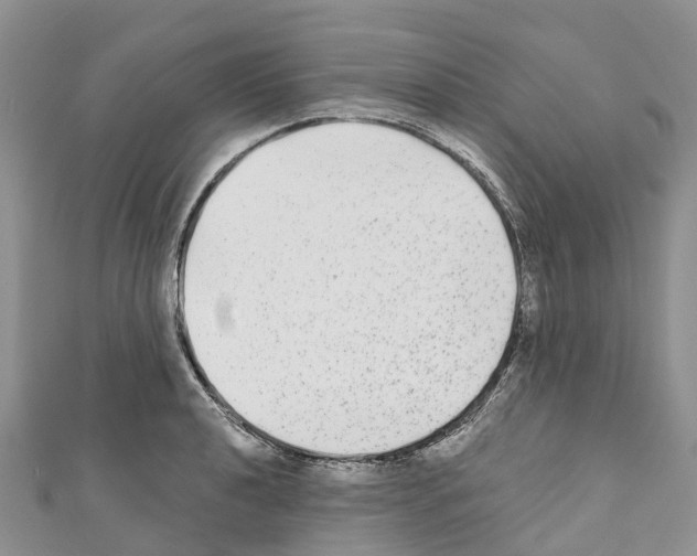 X0000110721040200907241202