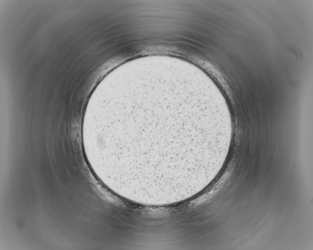 X0000110721041200907241202