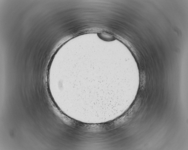 X0000110721042200907241202