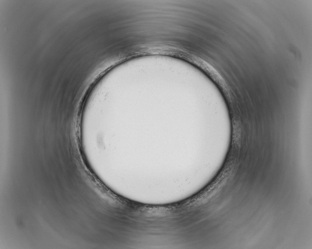 X0000110721043200907241202