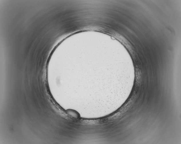 X0000110721044200907241202