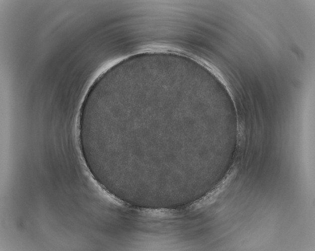 X0000110721045200907241202