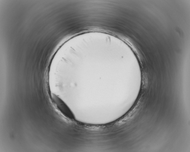 X0000110721048200907241202