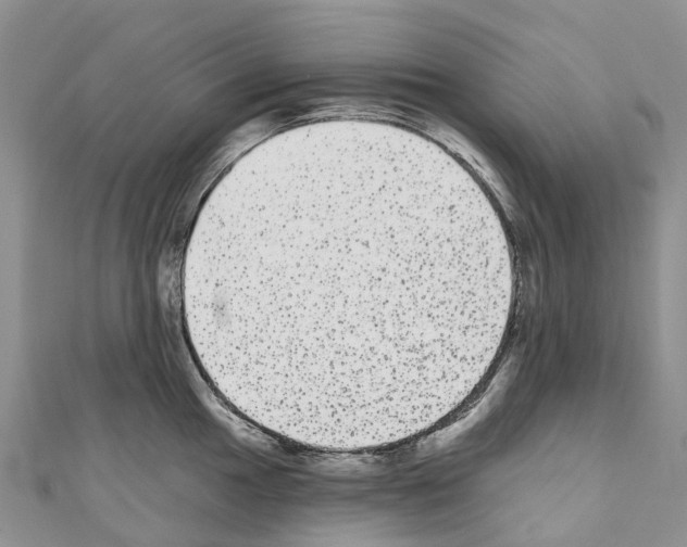 X0000110721049200907241202