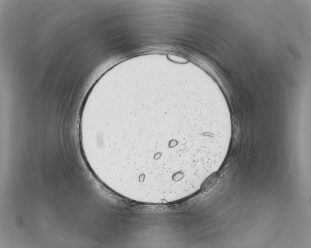 X0000110721050200907241202