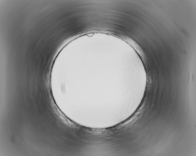 X0000110721052200907241202