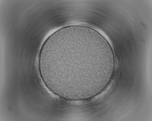 X0000110721053200907241202