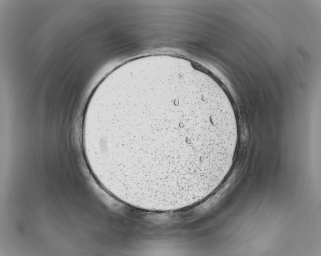 X0000110721054200907241202