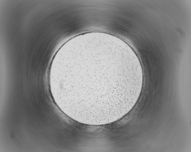 X0000110721056200907241202