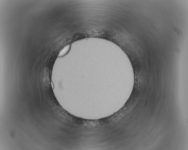 X0000110721058200907241202