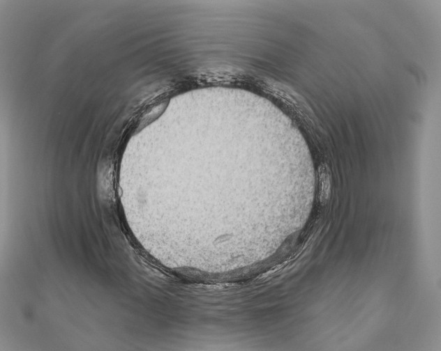 X0000110721060200907241202