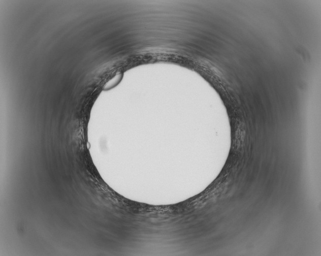 X0000110721062200907241202