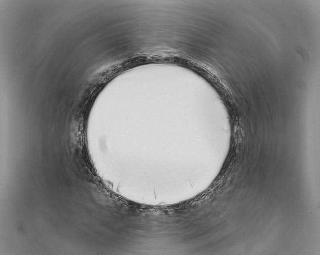 X0000110721063200907241202