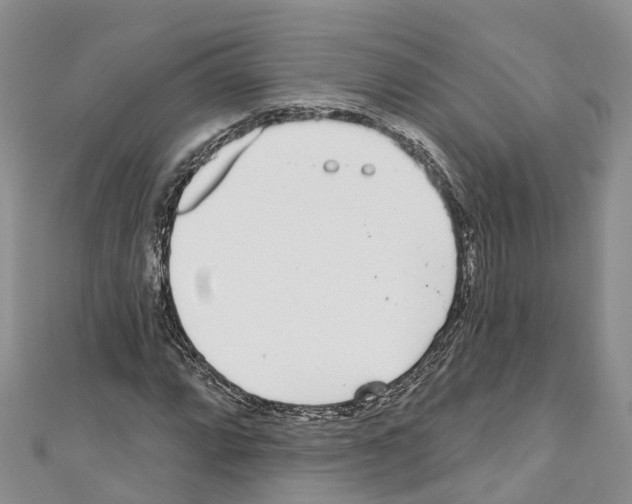 X0000110721064200907241202