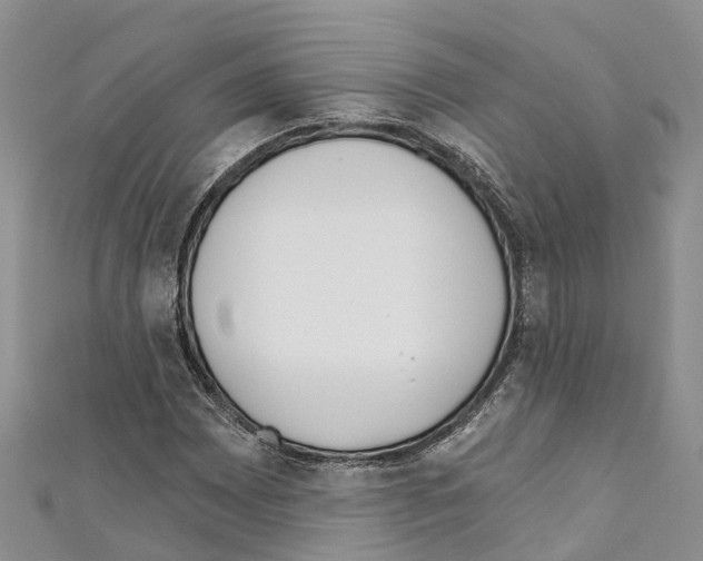 X0000110721065200907241202