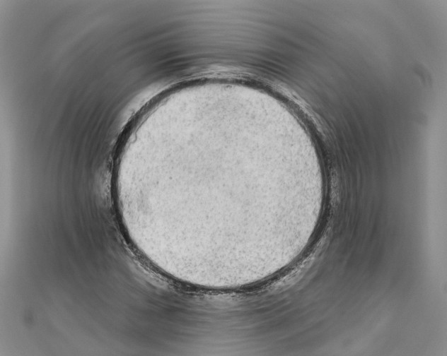 X0000110721066200907241202