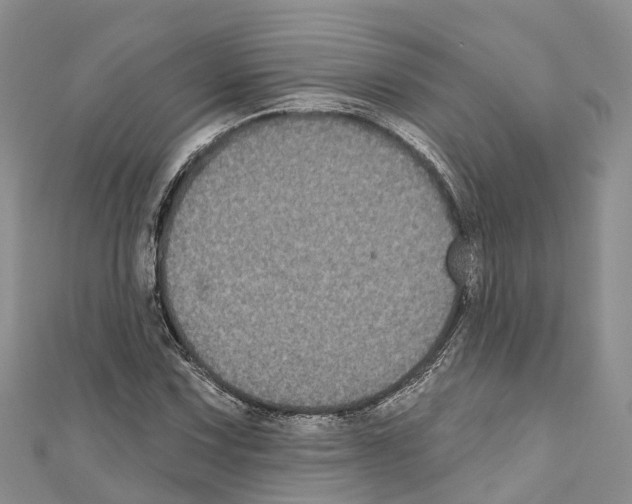 X0000110721067200907241202