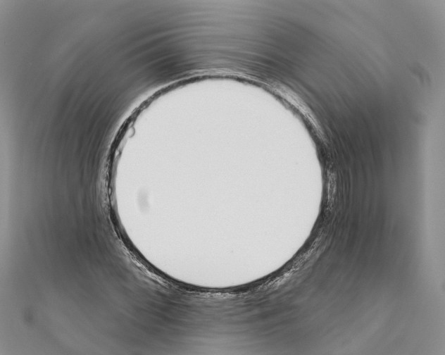 X0000110721068200907241202