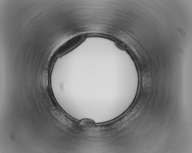 X0000110721069200907241202