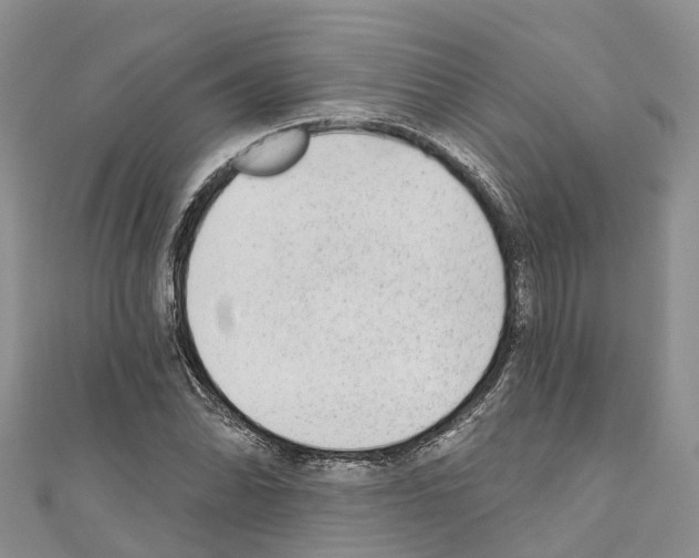 X0000110721070200907241202