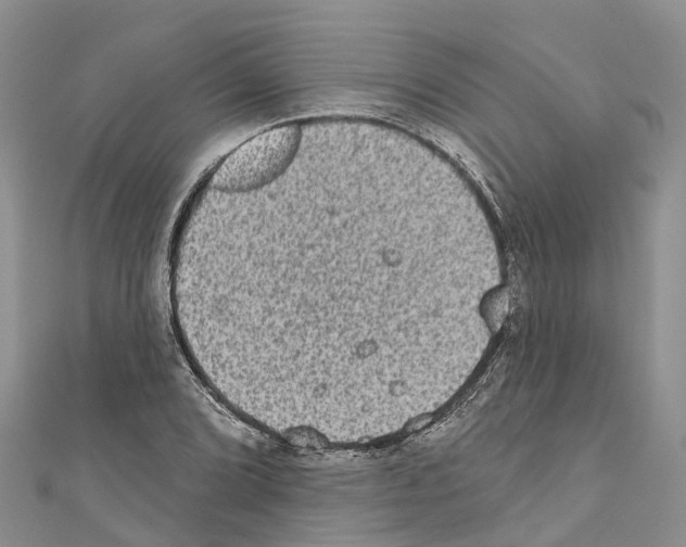 X0000110721072200907241202