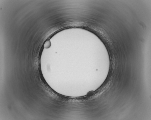 X0000110721073200907241202