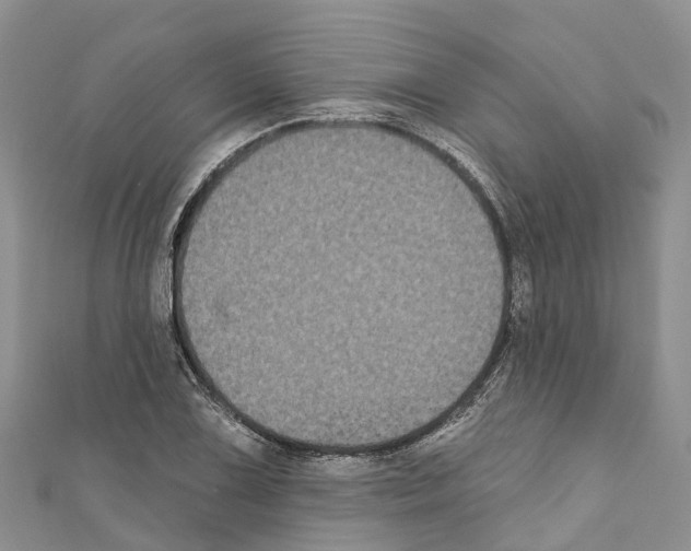 X0000110721075200907241202