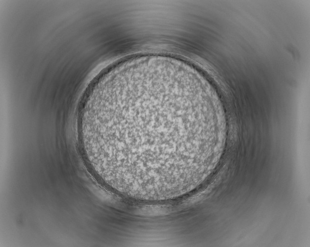 X0000110721078200907241201