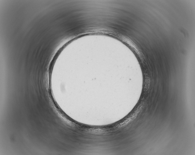 X0000110721079200907241201