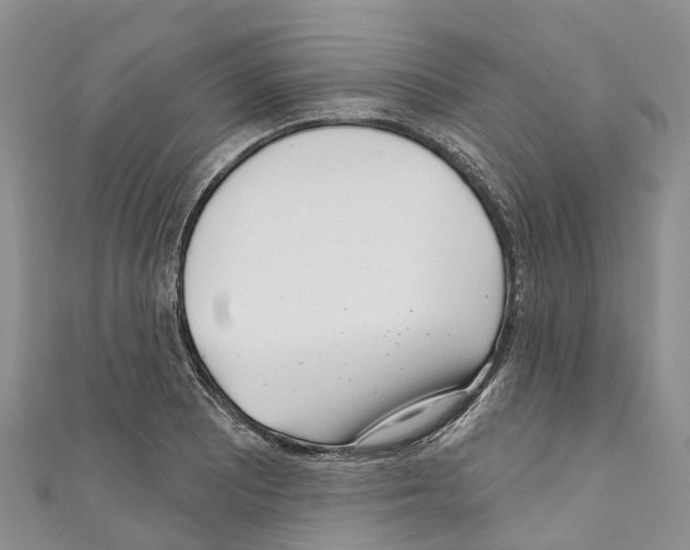 X0000110721081200907241201