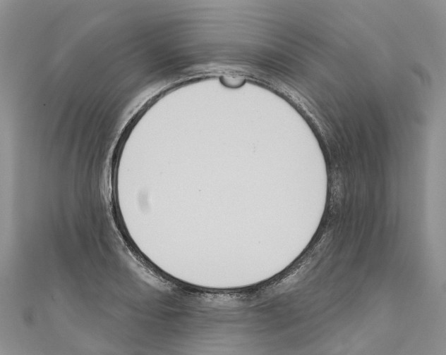 X0000110721082200907241201