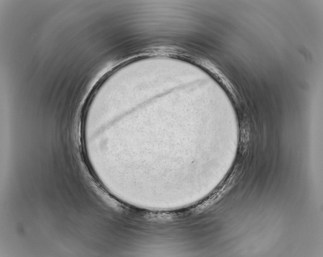 X0000110721083200907241201