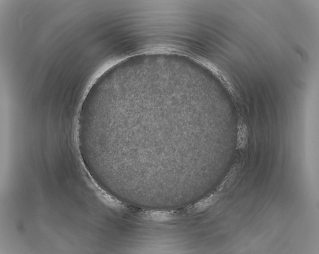 X0000110721086200907241201