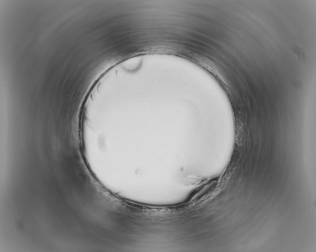 X0000110721087200907241201