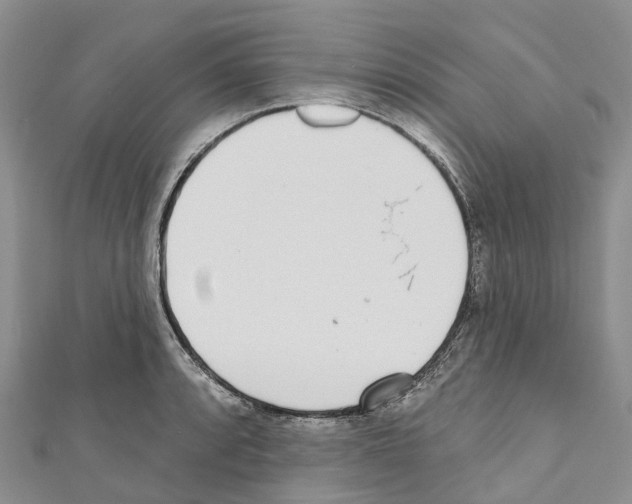 X0000110721088200907241201