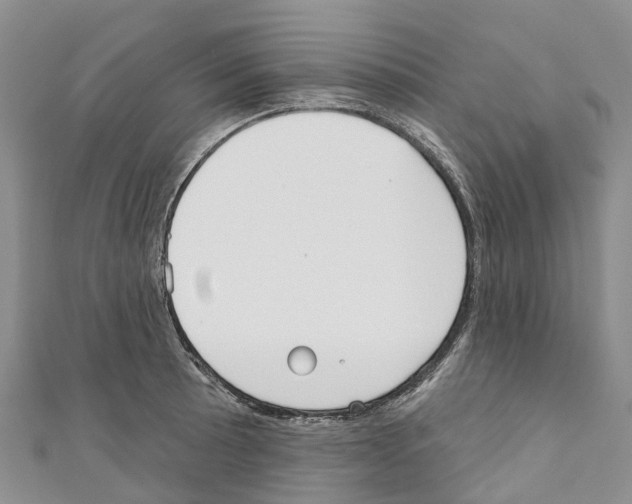 X0000110721089200907241201