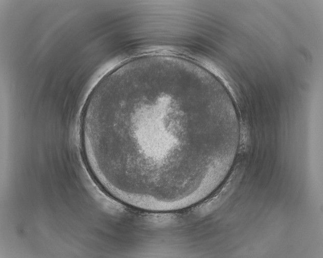 X0000110721090200907241201