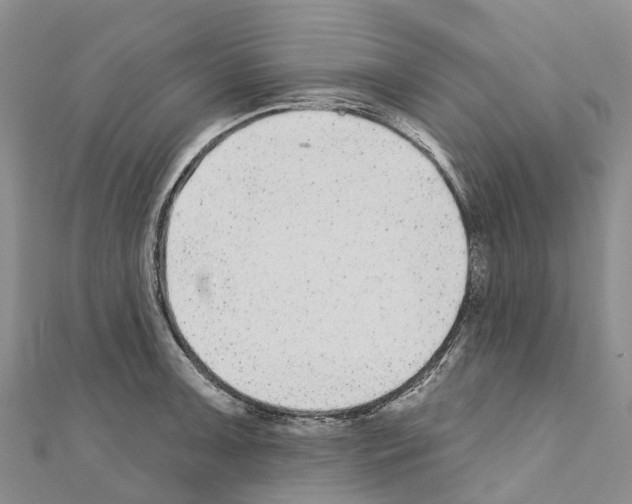 X0000110721091200907241201