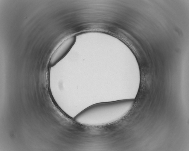 X0000110721092200907241201