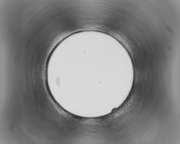 X0000110721093200907241201