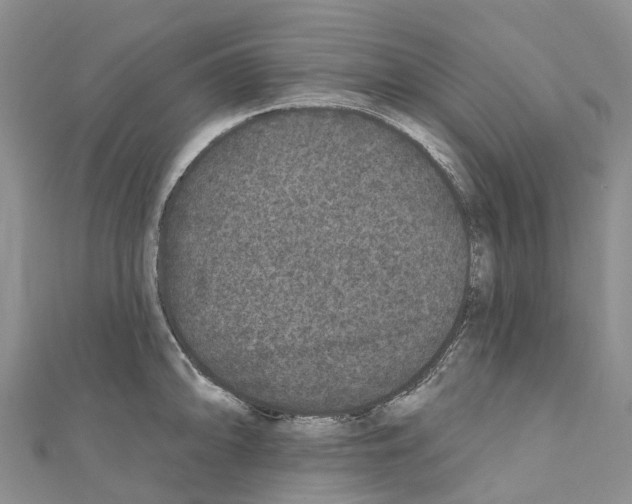 X0000110721094200907241201